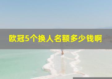 欧冠5个换人名额多少钱啊