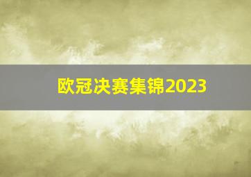 欧冠决赛集锦2023