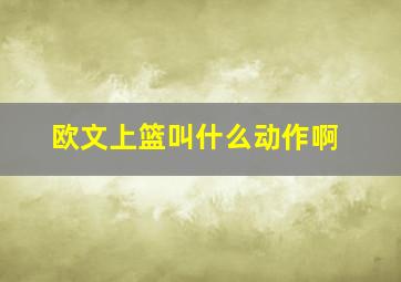 欧文上篮叫什么动作啊