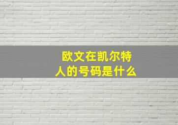 欧文在凯尔特人的号码是什么