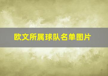 欧文所属球队名单图片