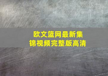 欧文篮网最新集锦视频完整版高清