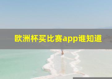 欧洲杯买比赛app谁知道