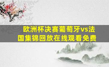 欧洲杯决赛葡萄牙vs法国集锦回放在线观看免费