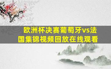 欧洲杯决赛葡萄牙vs法国集锦视频回放在线观看