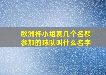 欧洲杯小组赛几个名额参加的球队叫什么名字