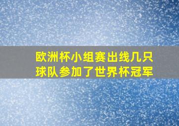 欧洲杯小组赛出线几只球队参加了世界杯冠军