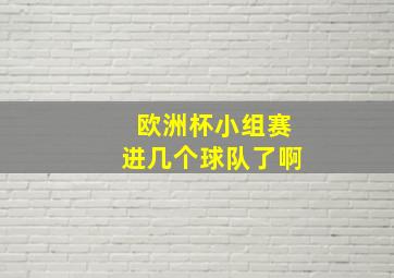 欧洲杯小组赛进几个球队了啊