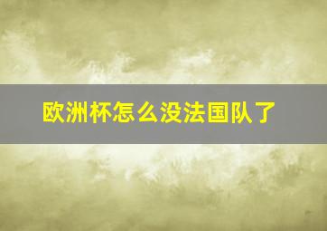 欧洲杯怎么没法国队了