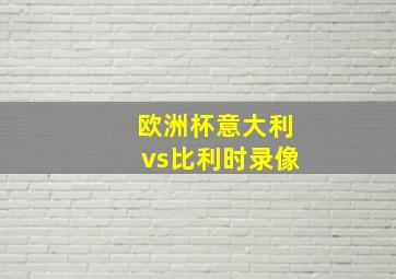 欧洲杯意大利vs比利时录像