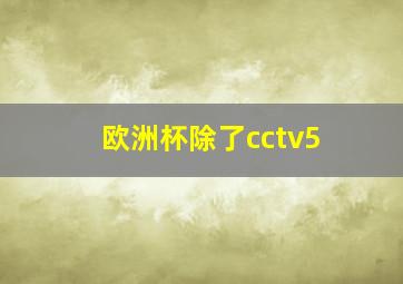 欧洲杯除了cctv5