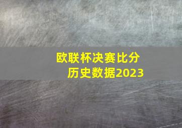 欧联杯决赛比分历史数据2023