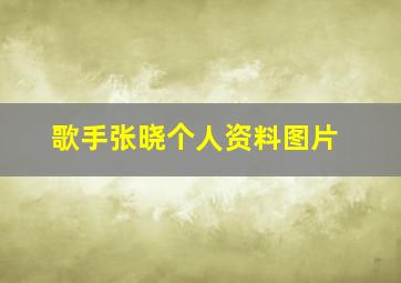 歌手张晓个人资料图片