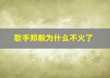 歌手郑毅为什么不火了