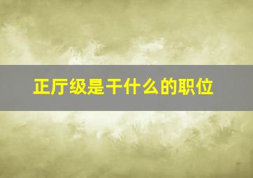 正厅级是干什么的职位