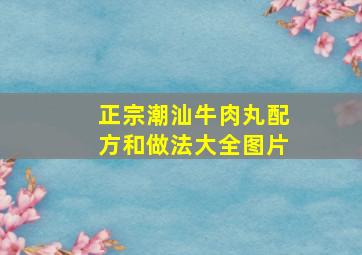 正宗潮汕牛肉丸配方和做法大全图片