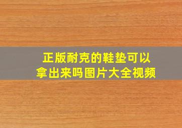 正版耐克的鞋垫可以拿出来吗图片大全视频