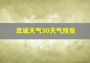 武城天气30天气预报