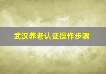 武汉养老认证操作步骤