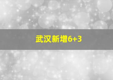 武汉新增6+3