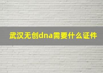 武汉无创dna需要什么证件