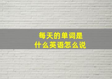 每天的单词是什么英语怎么说