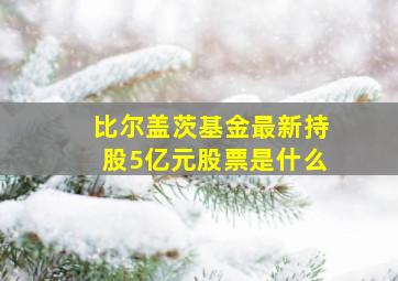 比尔盖茨基金最新持股5亿元股票是什么