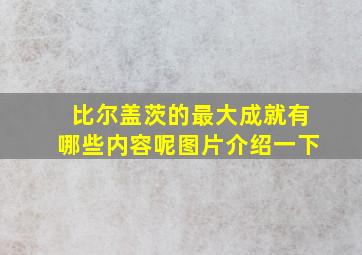 比尔盖茨的最大成就有哪些内容呢图片介绍一下