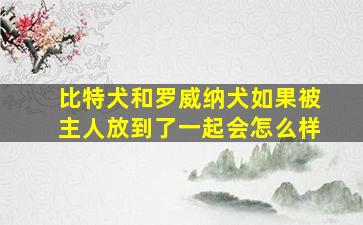 比特犬和罗威纳犬如果被主人放到了一起会怎么样