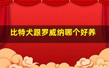 比特犬跟罗威纳哪个好养