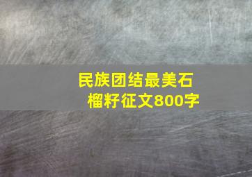 民族团结最美石榴籽征文800字