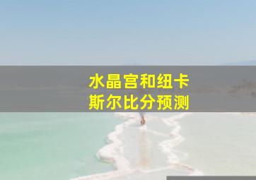 水晶宫和纽卡斯尔比分预测