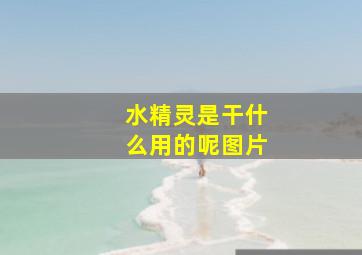 水精灵是干什么用的呢图片