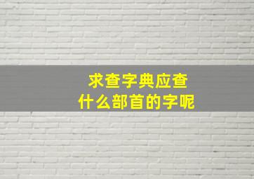 求查字典应查什么部首的字呢