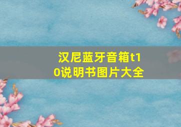 汉尼蓝牙音箱t10说明书图片大全