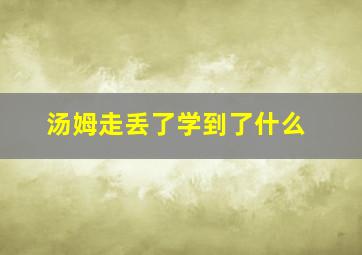 汤姆走丢了学到了什么