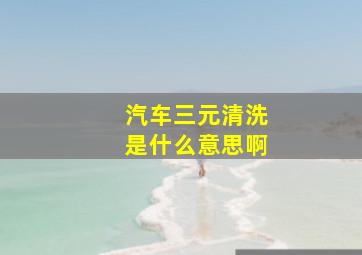 汽车三元清洗是什么意思啊