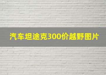 汽车坦途克300价越野图片