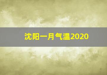 沈阳一月气温2020