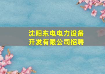 沈阳东电电力设备开发有限公司招聘