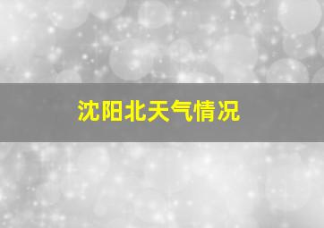 沈阳北天气情况