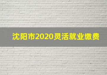 沈阳市2020灵活就业缴费