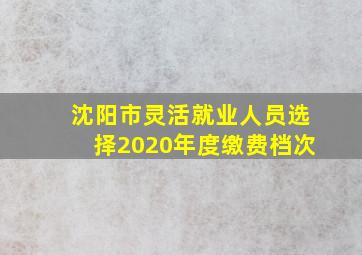 沈阳市灵活就业人员选择2020年度缴费档次