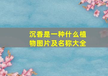 沉香是一种什么植物图片及名称大全