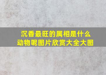 沉香最旺的属相是什么动物呢图片欣赏大全大图