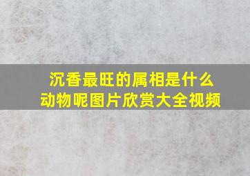 沉香最旺的属相是什么动物呢图片欣赏大全视频