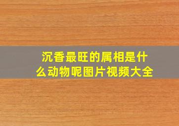 沉香最旺的属相是什么动物呢图片视频大全