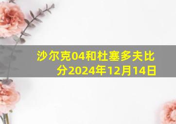 沙尔克04和杜塞多夫比分2024年12月14日