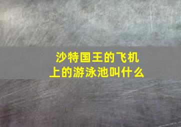 沙特国王的飞机上的游泳池叫什么