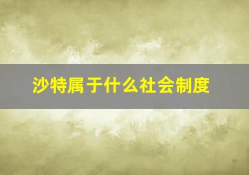 沙特属于什么社会制度